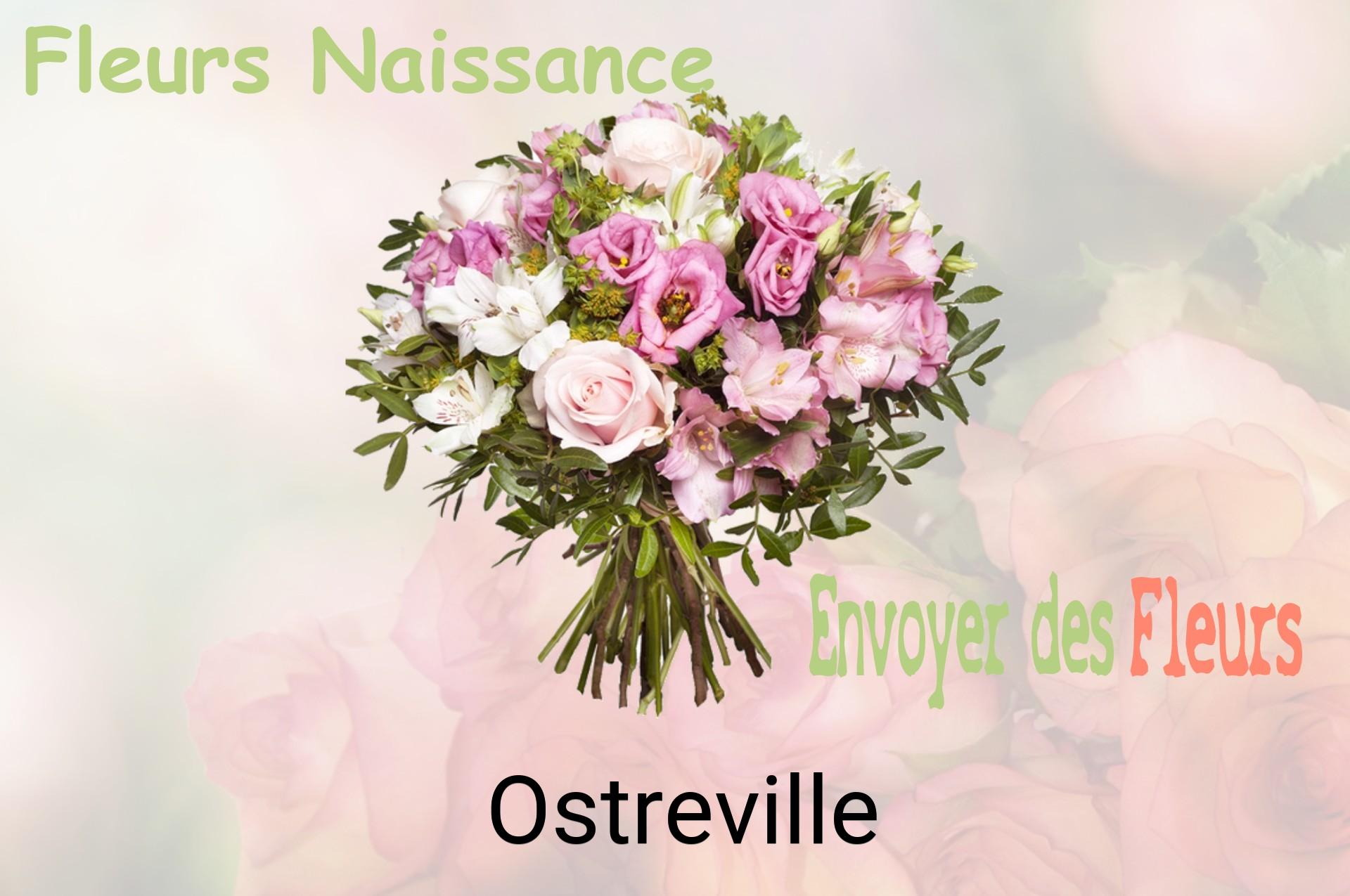 Bouquet de fleurs de naissance livré à Ostreville